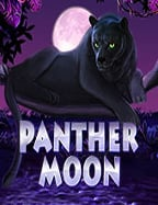 สูตรเด็ดสล็อต แปะ แมว ทดลอง เล่นสล็อต sl จากค่ายดัง